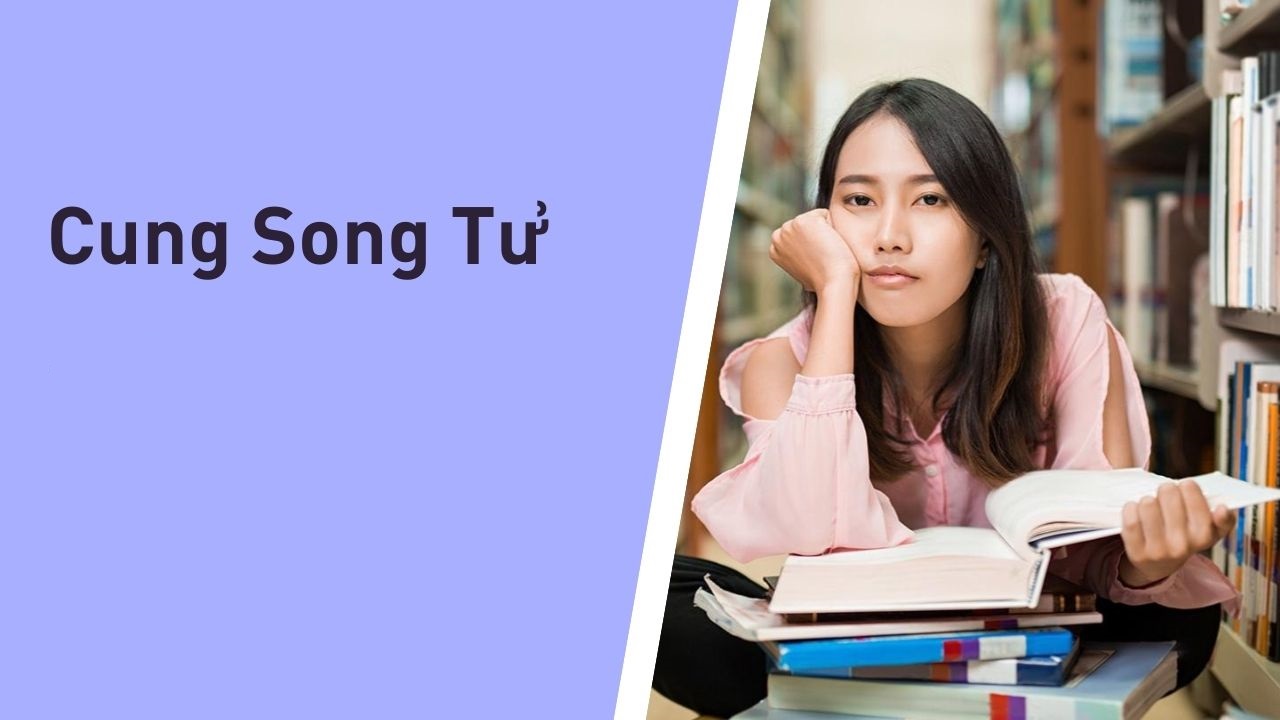 Song Tử được mệnh danh là "học bá" với thành tích khủng