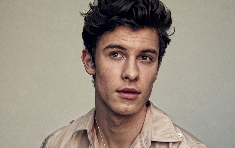 Shawn Mendes hiện đang là một ca sĩ có tầm ảnh hưởng lớn trong thị trường âm nhạc