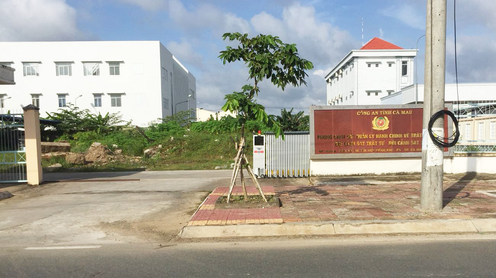 Các đối tượng bị áp tải về trụ sở công an tỉnh Cà Mau.
